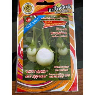 เมล็ดมะเขือตอแหล ขาวกลม พันธุ์ นวลผ่อง 4 ทิศ 10 แถม 1 เมล็ดผัก เมล็ดพันธุ์ ตรา สี่ทิศ 4ทิศ ใหม่ มะเขือ ตอแหล
