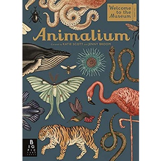 Animalium (Welcome to the Museum) [Hardcover]สั่งเลย!! หนังสือภาษาอังกฤษมือ1 (New)