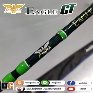 คันเบ็ดตกปลา คัน Fenwick EAGLE GT EGTS661M 1ท่อน SPIN