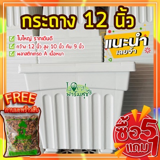 5แถม1 ฟรี🔸กาบมะพร้าวสับ กระถางต้นไม้ 12” กระถางขาว กระถางปลูกต้นไม้ กระถางพลาสติก เนื้อดี สวย มีรู