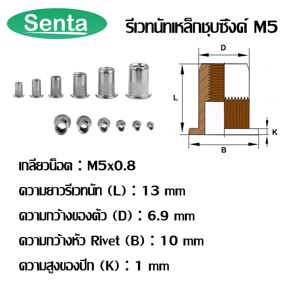 รีเวทนัท รีเวทนัทเหล็กชุบซิ้งค์ M3 M4 M5 M6 M8 M10 M12 สำหรับสกรู (STEEL RIVET NUT ZINC PLATED) ลูกรีเวท รีเวท ราคา ถูกที่สุด ดีลบีเคเค แกลเลอรีภาพที่ 5