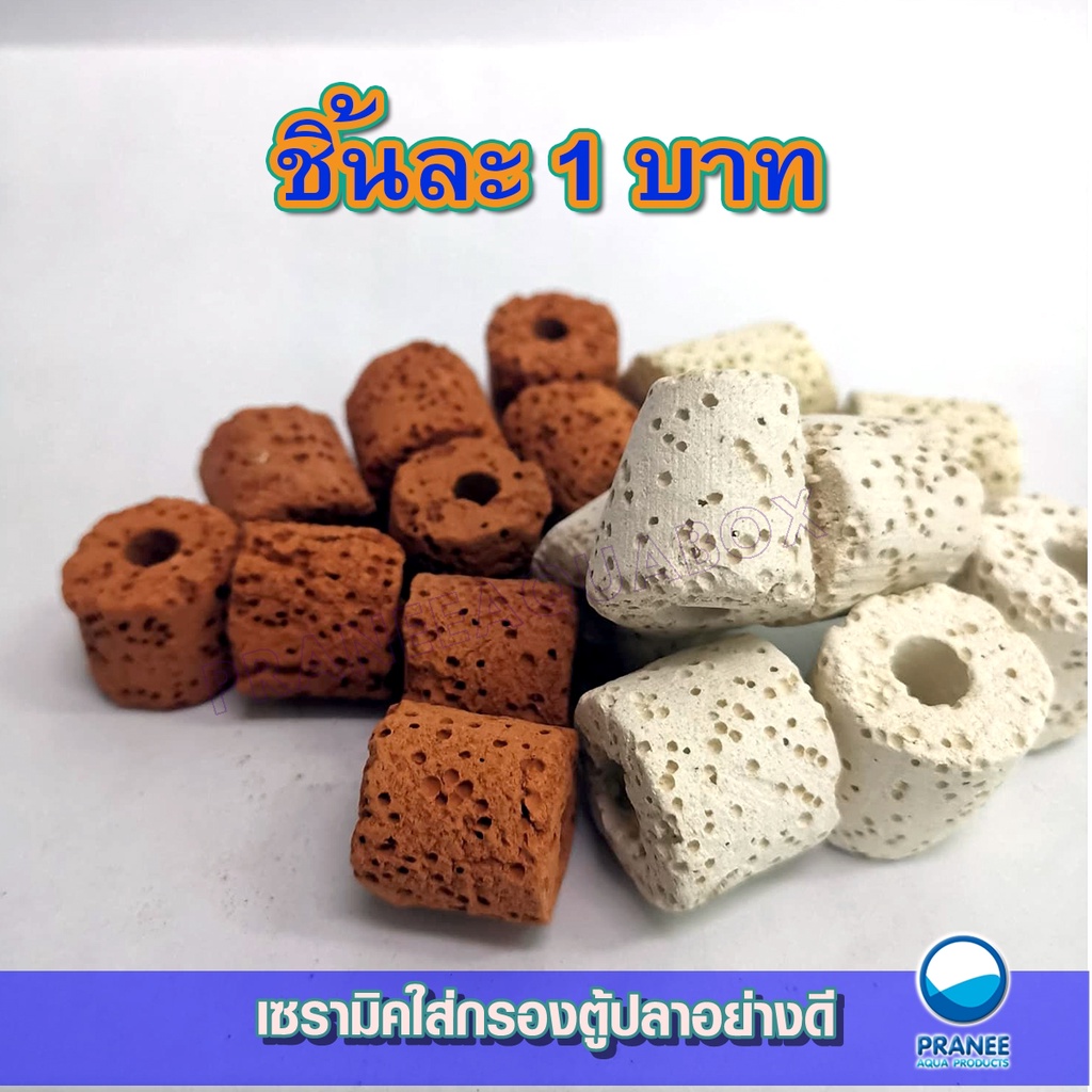 เซรามิค​มีรู​ มี 3 แบบ มีเดียระบบกรองตู้ปลา วัสดุกรอง

<p>“><center></p>
<h4></h4>
<p><p><font color=