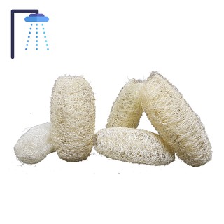 1 ชิ้น / 5 ชิ้น ใยบวบขัดหน้า ขัดผิว ใยบวบจิ๋ว ใยบวบธรรมชาติ  Natural Fibers Luffa