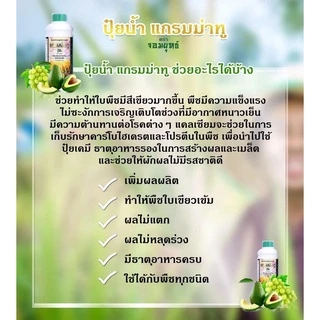 แกรมม่าทู ปุ๋ยน้ำแกรมม่าทู 1 ลิตร เร่งการเติบโต เร่งดอก เร่งผล ฉีดพ่นตั้งแต่เริ่มปลูก ถึงช่วงเก็บเกี่ยว