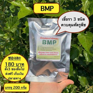 เชื้อราป้องกันและกำจัด หนอนเพลี้ยไข่หนอน (BMP) กำจัดแมลงแบบปลอดภัยอินทรีย์100%