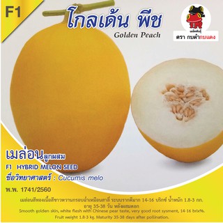 เมล็ดพันธุ์ เมล่อนโกลเด้นพีท บรรจุ 3 เมล็ด