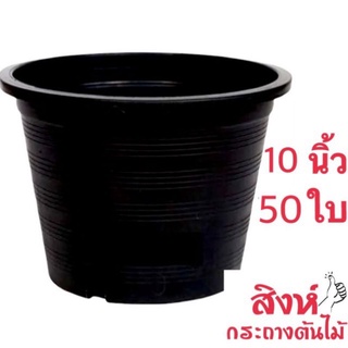 กระถางต้นไม้พลาสติกสีดำ 10 นิ้ว ชุด 50 ใบ กระถางราคาถูก