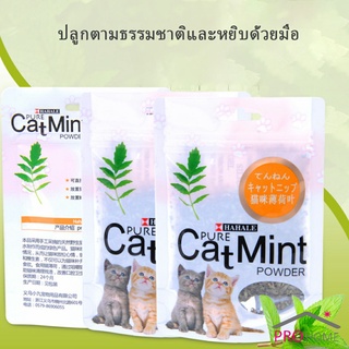 ของแท้ 100% โรยของเล่นแมว ผงแคทนิป &amp; ผงมาทาทาบิ ซองซิบ "พลาสติก"  5g (พร้อมส่ง) Catnip