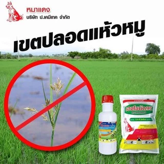 ดาราเอมีน หมาแดงน้ำ 2,4-ดี สารกำจัดวัชพืช ประเภทใบกว้าง เช่น ผักปอดนา เทียนนา โสนหางไก่ ผักบุ้ง วัชพืชประเภทกก( 1 ลิตร )