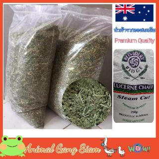 หญ้าอัลฟาฟ่าสับ ขนาด 250g. / 500g. / 1000g. Premium quality นำเข้าจากออสเตเลีย