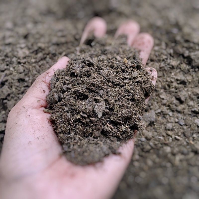 ขี้วัวแท้100% ปุ๋ยคอก ขี้วัวแห้ง ปุ๋ยต้นไม้ เป็นปุ๋ยสำหรับพืชอย่างดี (2กก.)