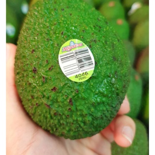 TOP-1อะโวคาโด (ยกลัง28-30ลูก) (USA/NZL/Peru) ~ลดพิเศษ~ส่งฟรี~ Premium อโวคาโด้ อะโวคาโด้ Avocado ! ไม่ใช่ อบแห้ง อโวคาโด