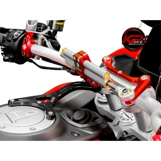 ขาจับกันสะบัด DUCABIKE MULTISTRADA V4