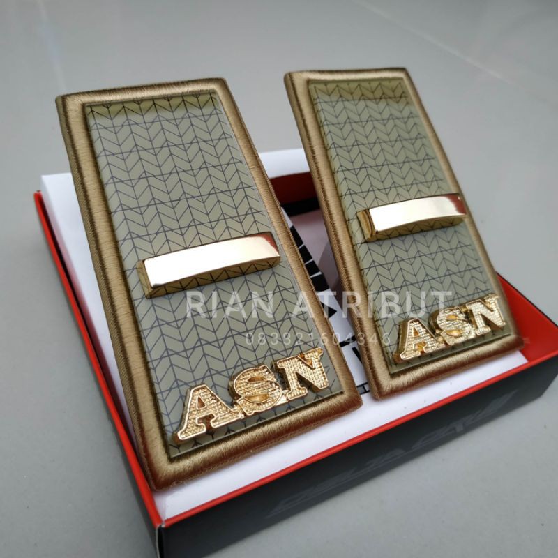 ASN RANK / PNS RANK*