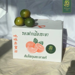 ส้มโชกุนเบตงแท้ เบอร์ 2 ( 8 ลูก/กิโลกรัม) กล่อง 5 กิโล