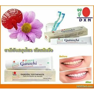 Dxn ยาสีฟันผสมเห็ดหลินจือ 75 กรัม