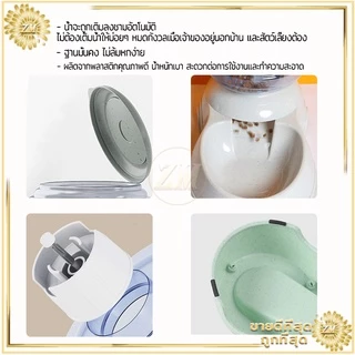 เครื่องให้อาหารแมว3.8L ที่ให้อาหารอัตโนมัติ เครื่องให้อาหารหมาอัตโนมัติ เครื่องให้อาหาร เติมน้ำ และอาหารอัตโนมัติ มี2สี