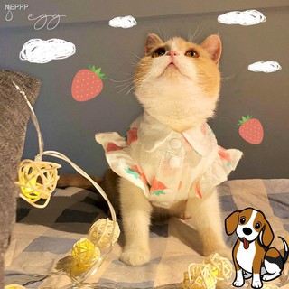 🌈 🐱🐶 ลดราคาพิเศษ .แมว หมา ☂♈℡ชุดแมว  เสื้อผ้าสุนัข ชุดสุนัข ชุดหมา เสื้อหมา