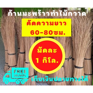 ก้านทางมะพร้าว ยาว 60ซม ถึง 80ซม 1 กิโลกรัม ก้านเหลาใหม่ ไม่ผุ ไม่ชื้น ไม่ขึ้นรา ส่งฟรีทั่วประเทศ เก็บเงินปลายทางได้