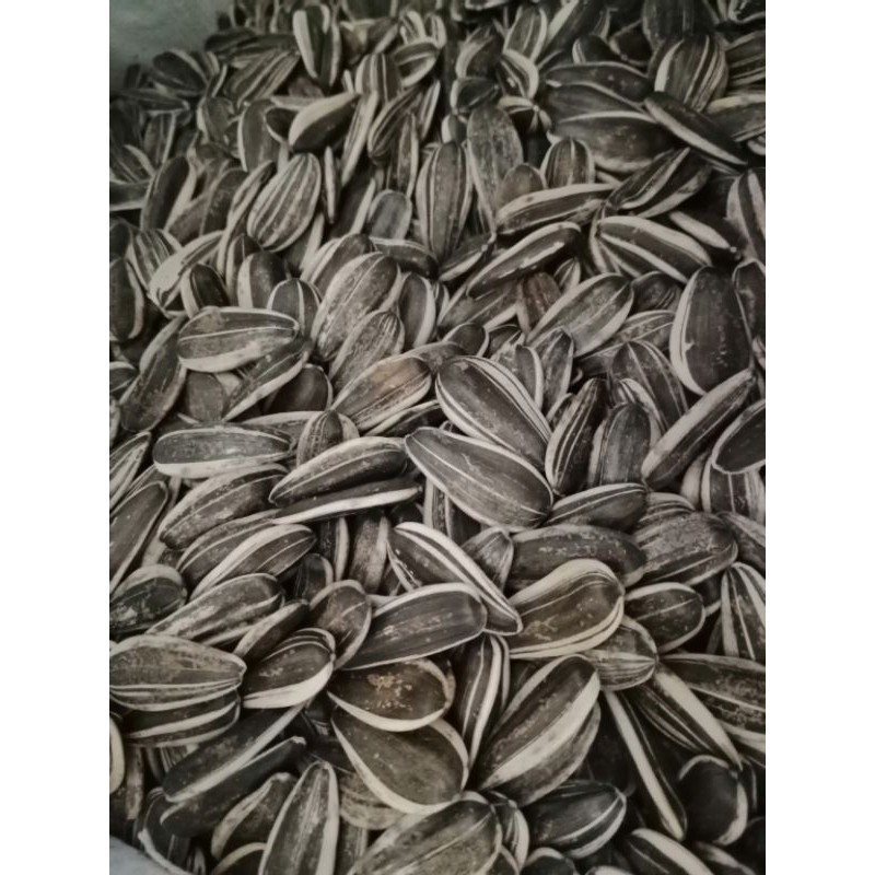 ทานตะวันนก เอป้อม 500 กรัม - รูปที่ 4