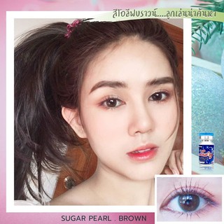 Sugar Pearl Brown Luxylens