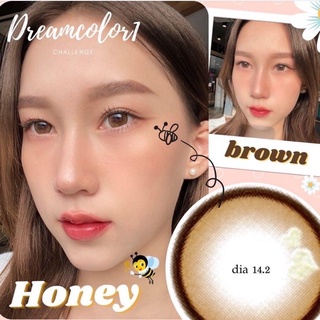 คอนแทคเลนส์ Dreamcolor1 Honey