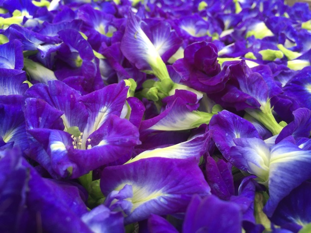 💥สินค้าขายดี💥❤️‍🔥อัญชันแห้ง 1 kg. เกรดA 🔅ปลอดสารเคมี ปลูกเอง ขายเอง - รูปที่ 4