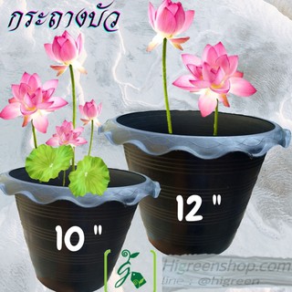 กระถางบัว ขนาด 10 นิ้ว(แพ็ค 3 ใบ)