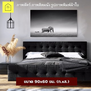 รูปติดผนัง ขาวดำ กรอบลอย ขนาด 90x60 ซม. (ก.xส.) ภาพสัตว์ กรอบรูป กรอบลอย ภาพแคนวาส แต่งบ้าน แต่งห้อง พร้อมกรอบ พร้อมแขวน