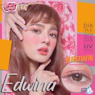 🎁Bigeyes Edwina Brown,Gray🎁สายตาปกติ(0.00),-0.50,-1.00(kitty kawaii)