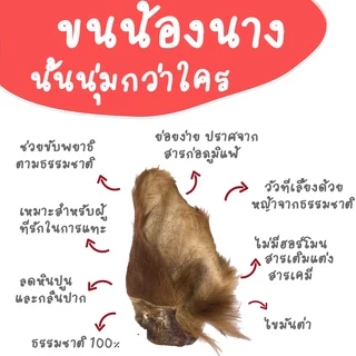 cow ears หูวัวอบแห้ง ขนมขัดฟันสุนัข แทนกระดูก ย่อยยได้ มีหลายไซส์ให้เลือก umm ขนมหมา
