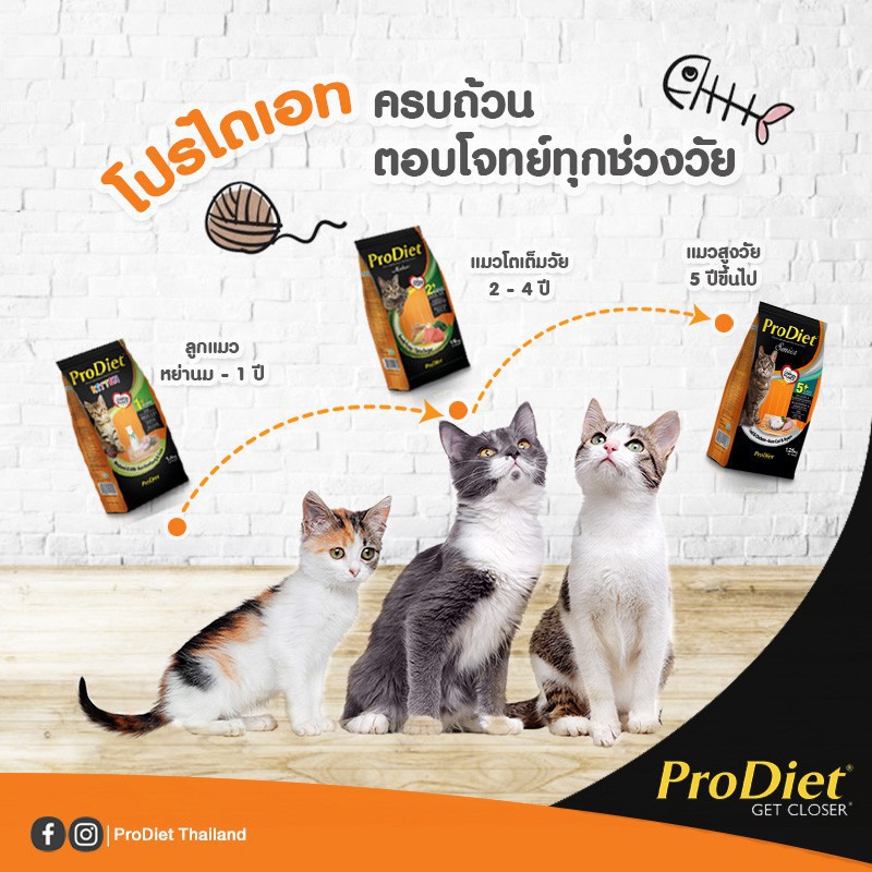 [พร้อมส่งจากไทย]【จัดส่ง ที่รวดเร็ว】 ◈【ของแท้】ProDiet โปรไดเอท อาหารเม็ดสำหรับแมวโต โปรไดเอท โปรไดเอท ปลาทูน่า 1.5กก.☉