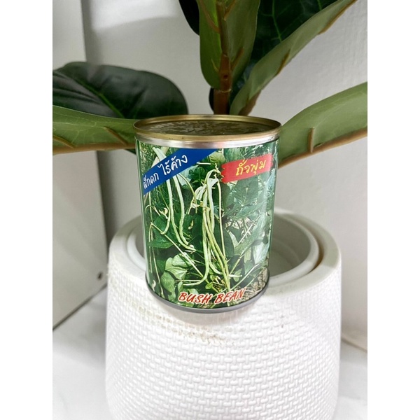 เก็บโค้ตส่งฟรีลดสูงสุด 300 ถั่วพุ่ม ถั่วไร้ค้าง ตราปลาทอง ขนาด80กรัม เมล็ดผัก เมล็ดพันธุ์ เมล็ดพันธุ์ผัก ถั่วนั่ง