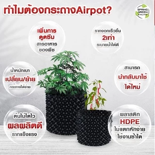 SGE กระถางต้นไม้ กระถางดอกไม้ Air Pot( AP แนะนำ 5 ชิ้น ราคาพิเศษ!!!) พลาสติก เกรด HDPE ประกันคุณภาพ