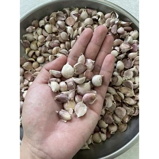 กระเทียมไทยแกะกลีบ (แกะด้วยมือ) คัดก่อนส่ง กลีบใหญ่ กระเทียมไทย100% หอมมากๆ กระเทียมใหม่ สะอาด หอม จัดจ้าน ไม่ลีบไม่ฝ่อ