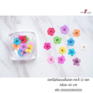 ( มี 3แบบ ) ดอกไม้แห้งคละสี 12ดอก