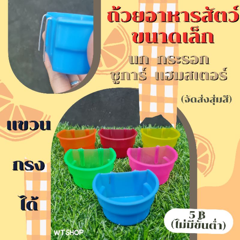 ถ้วยพลาสติกแขวนกรงขนาดเล็กตะมุตะมิ สีมุ้งมิ้ง สำหรับนก กระรอก ชูการ์ แฮมสเตอร์ (โค้งจิ๋วไร้ขอบ)