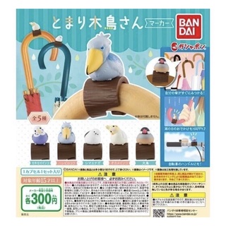 🅟🅕 กาชาปองนกหลากหลายสายพันธุ์เกาะร่มทำหน้าแบ๊ว ☔️🦅🦢☂ Perch Bird Marker gashapon