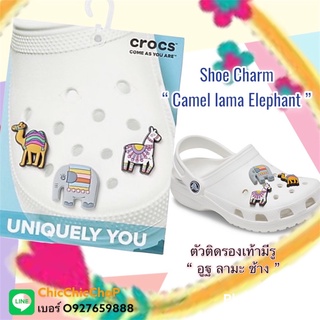JBS 🌸🌈✨🍀Jibbitz Set colorful animals “ Camel lama Elephant “ 🌺🦙🐪🐘🌈ตัวติดรองเท้าเซต สีสันสัตว์โลก “ อูฐ ลามะ ช้าง ”
