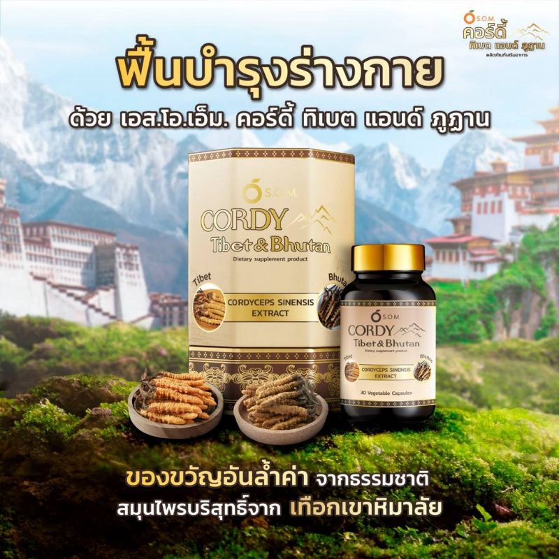 ถังเช่า S.O.M. Cordy Tibet Bhutan เอสโอเอ็ม คอร์ดี้ ทิเบต ภูฎาน ถังเฉ้า เสริมภูมิ ถั่งเช่า ธิเบต บำร