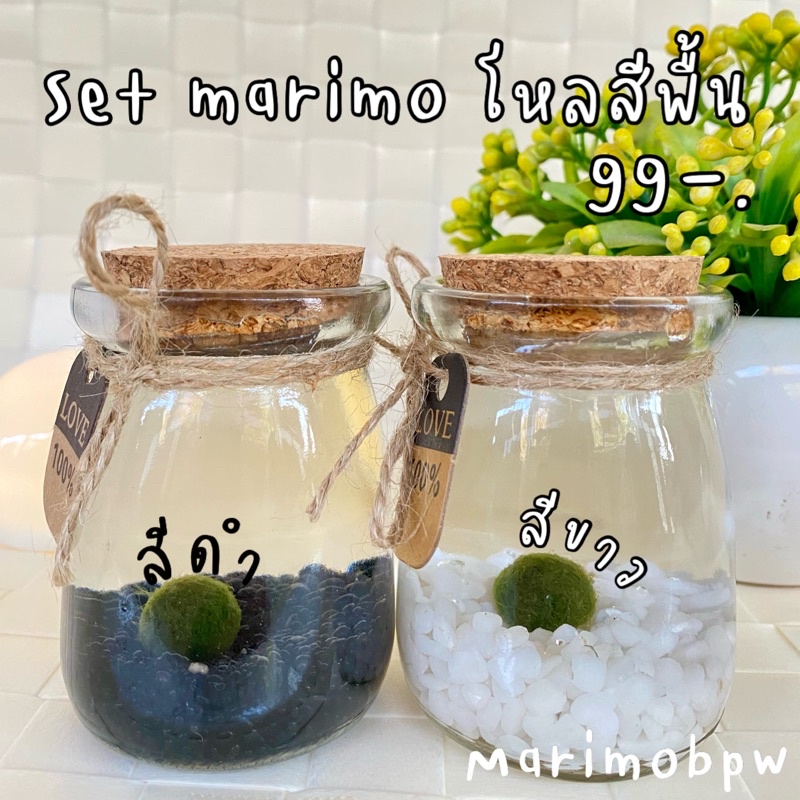 เซ็ตมาริโมะ พร้อมขวดโหลฝาไม้ สุดพิเศษ สำหรับเป็นของขวัญให้ตัวเอง และคนที่รัก