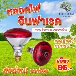 ส่งจากไทย ได้รับสินค้าเร็วไม่ต้องรอนาน หลอดไฟอินฟาเรด 200w หลอดไฟกกลูกไก่ หลอดฮีตเตอร์อินฟาเรด ขั้วE27 หลอดไฟกกลูกหมู