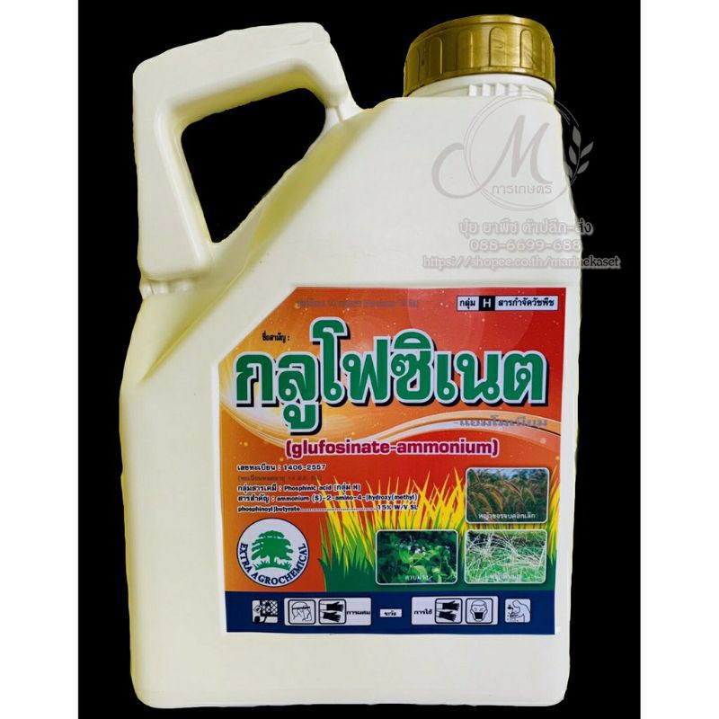 อัลบั้ม 91+ ภาพพื้นหลัง กลูโฟซิเนตแอมโมเนียม เผาไหม้ หรือ ดูดซึม ครบถ้วน