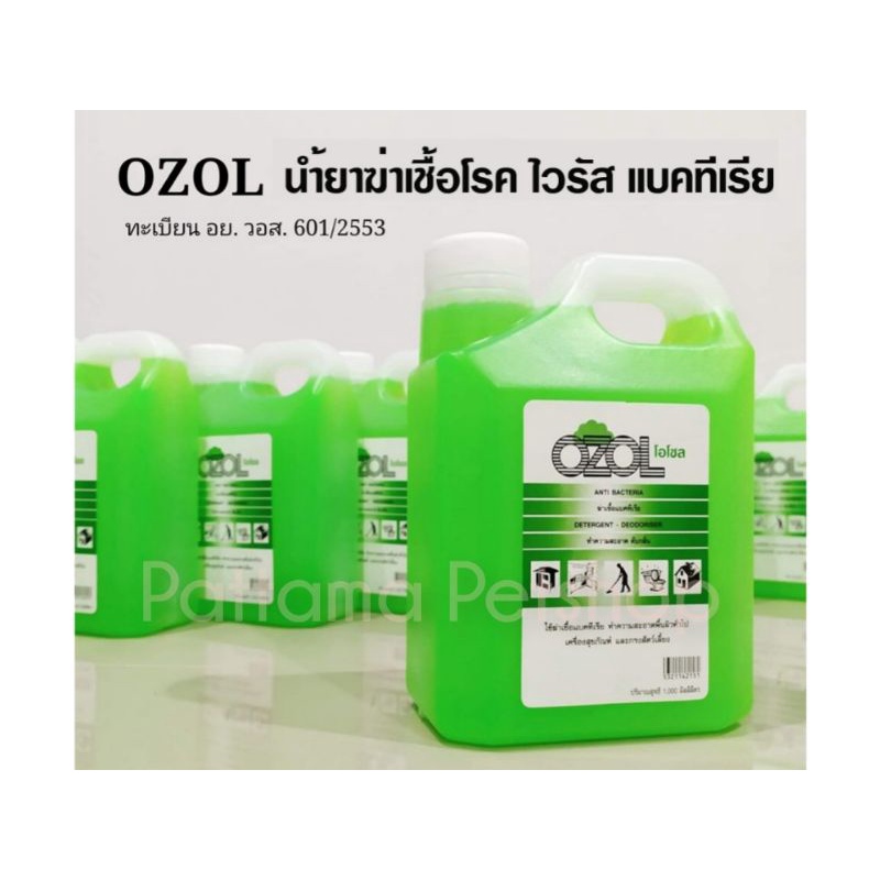 Ozol น้ำยาถูพื้น ฆ่าเชื้อแบคทีเรีย