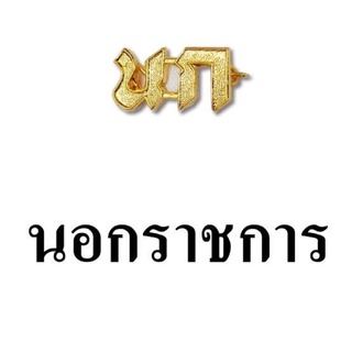 เข็มกลัดตกแต่งผ้าตัว นก เงางาม