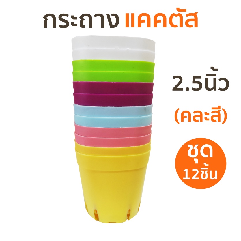 กระถางพลาสติก 2.5 นิ้ว กระถางแคคตัส (กระบองเพชร) ระบายน้ำได้ดีขายเป็นชุด 12 ใบ คละสี เป็นกระถางต้นไม้พลาสติก เหนียวทนทาน