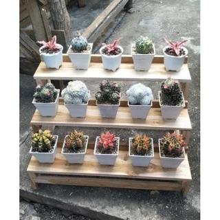 ชั้นวางต้นไม้ ชั้นวางของ เกรดพรีเมี่ยม ราคาถูก ส่งเร็ว
