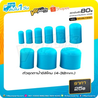 ตัวอุดตาน้ำซิลิโคน Billion