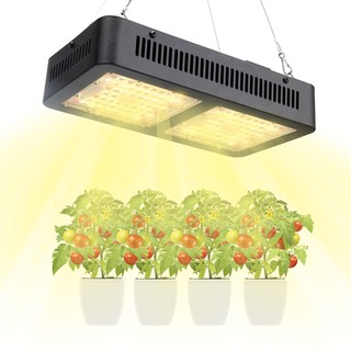 ไฟปลูกต้นไม้ 1000W LED Grow Light Full Spectrum Hydroponic Grow Lighting for Indoor Plant