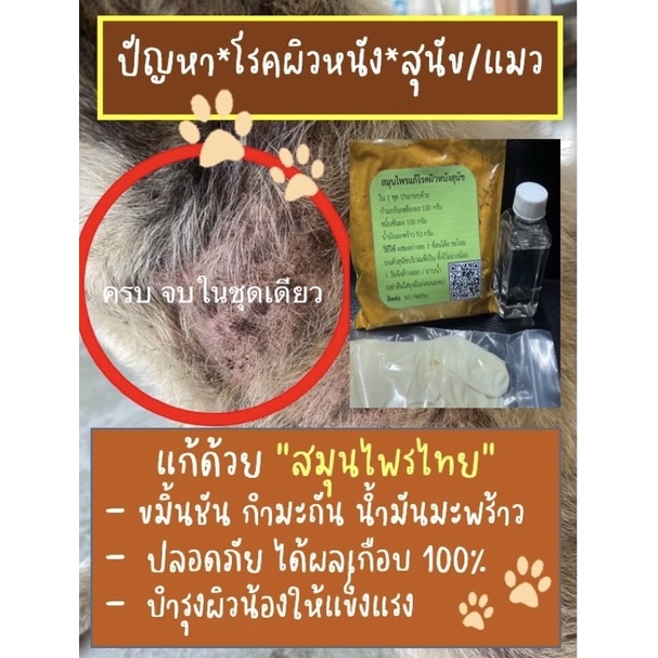 ผงสมุนไพร ขมิ้นชัน กำมะถัน บำรุงผิว สุนัข แมว ขนาดบบจุ 250 กรัม